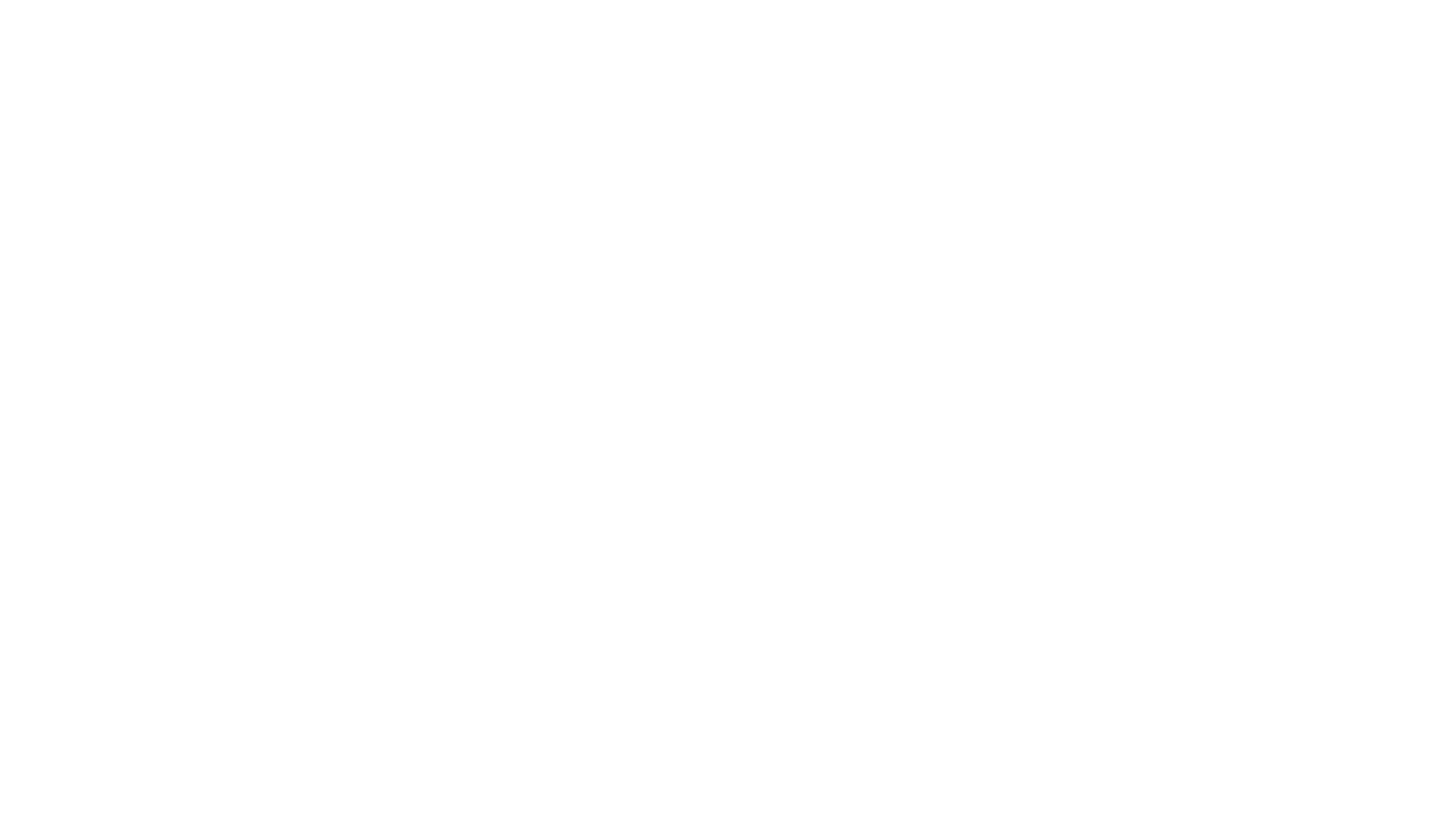 n1co documentation